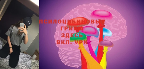 PSILOCYBIN Верхнеуральск